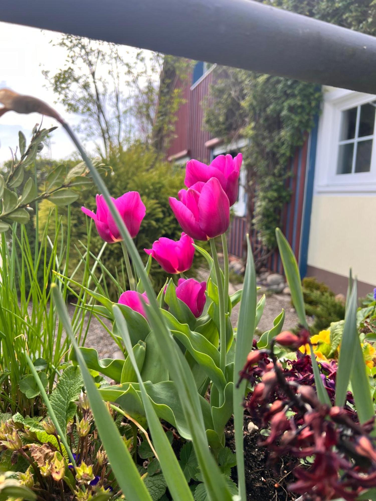 Am Flussgarten 에리스키르히 외부 사진