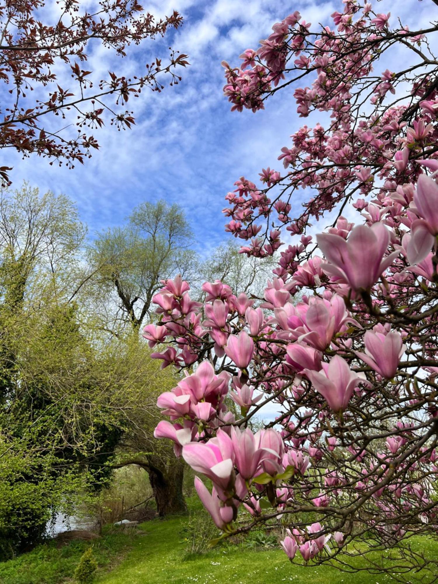 Am Flussgarten 에리스키르히 외부 사진