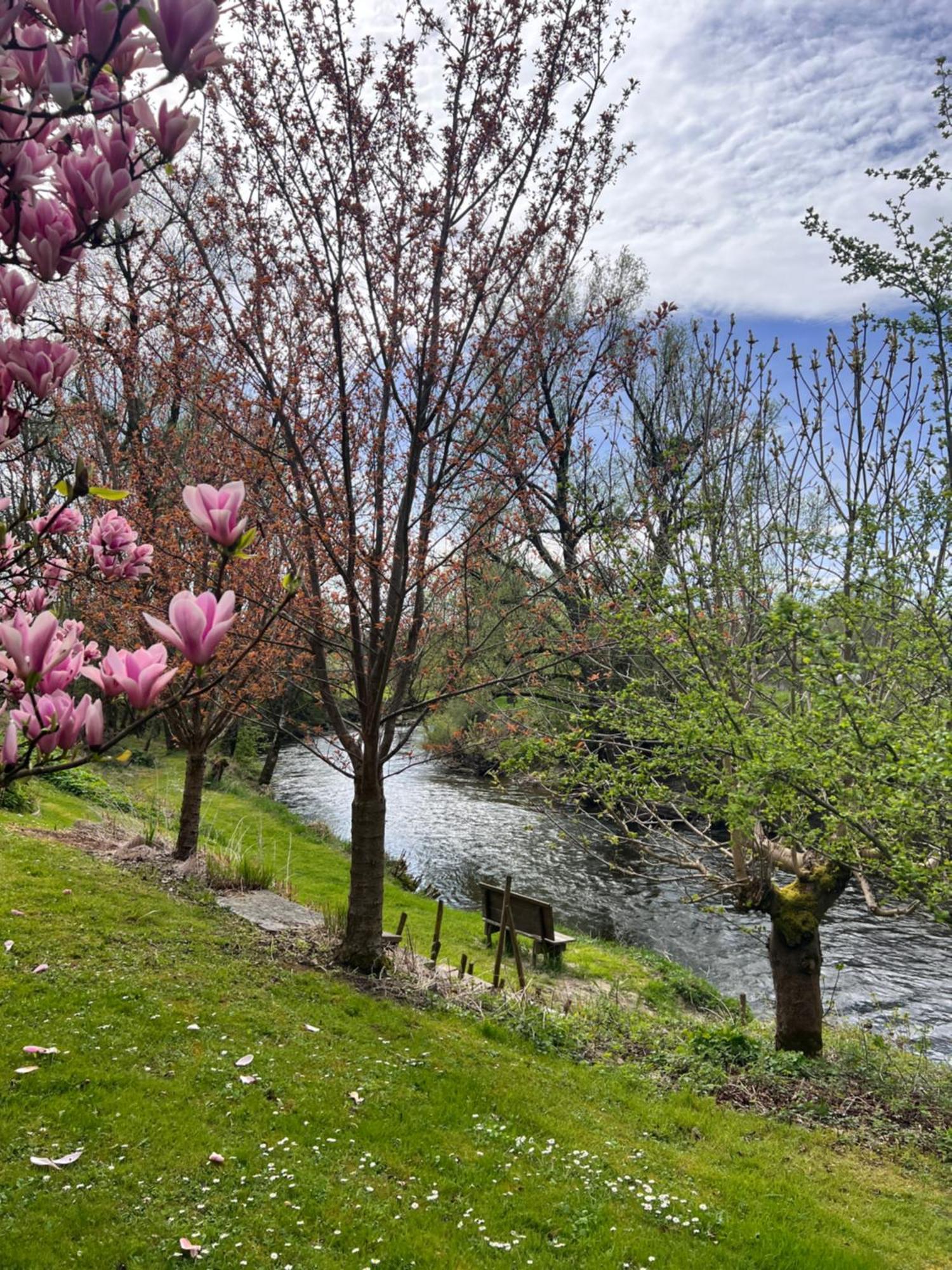 Am Flussgarten 에리스키르히 외부 사진