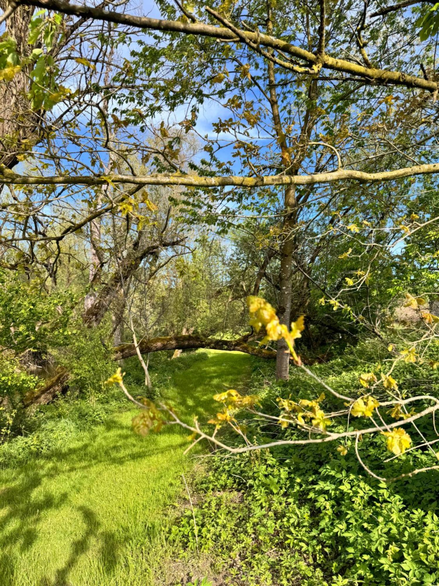 Am Flussgarten 에리스키르히 외부 사진