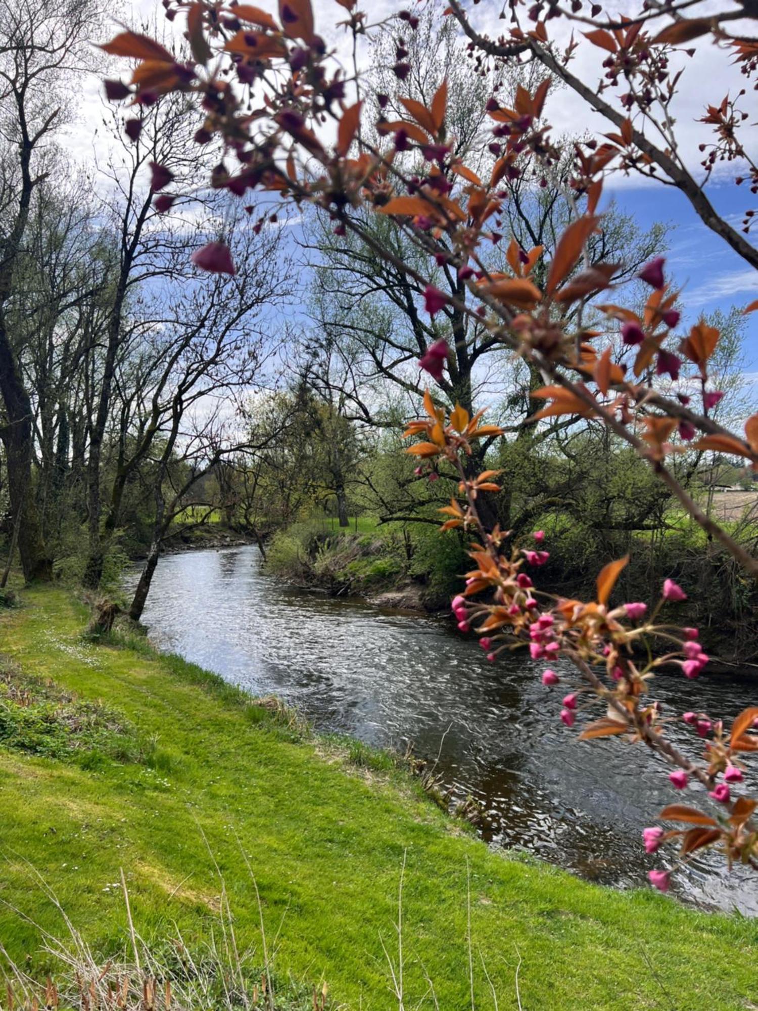 Am Flussgarten 에리스키르히 외부 사진