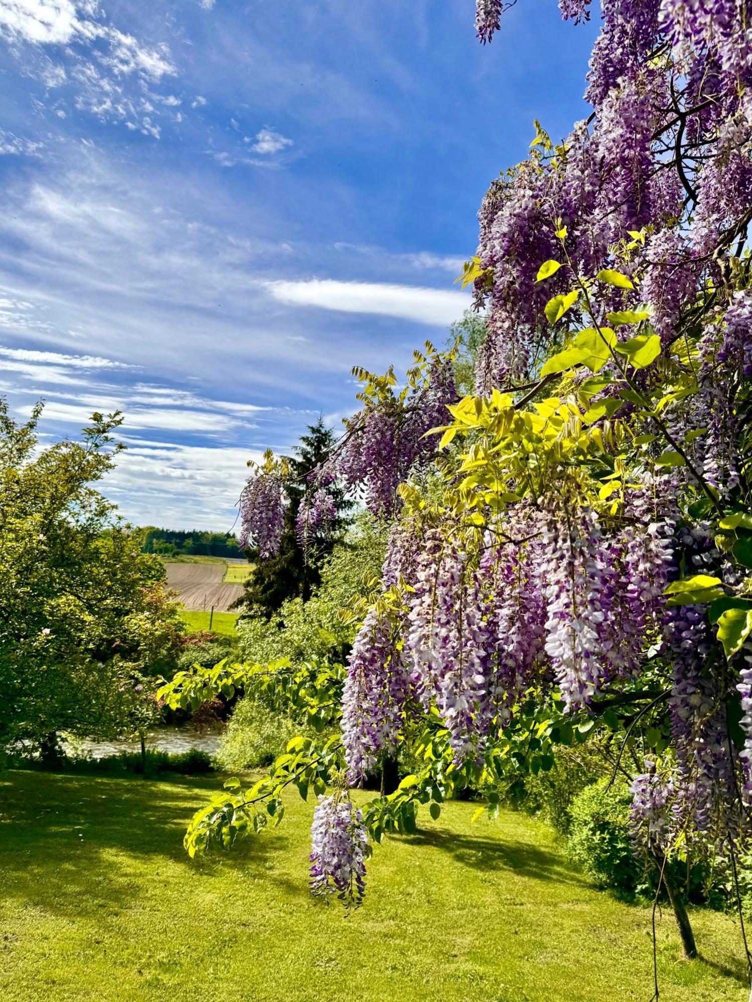 Am Flussgarten 에리스키르히 외부 사진